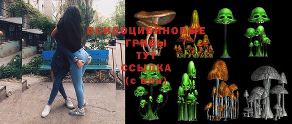 гидра Бугульма