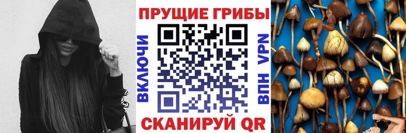 Купить закладки  Ленинск-Кузнецкий  Галлюциногенные грибы Magic Shrooms 